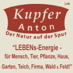 Kupfer-Anton - über LEBENsEnergie